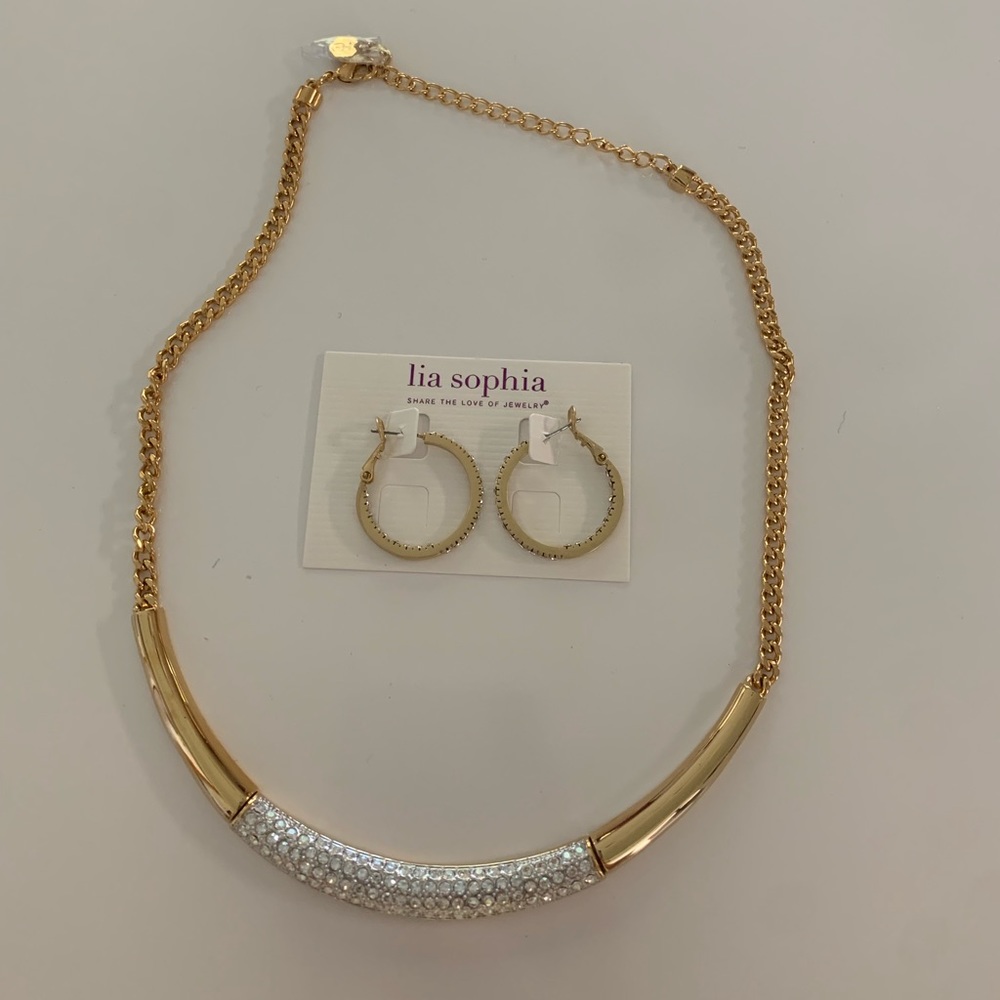 Lia Sophia necklace and earring set!